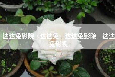 达达兔影院 - 达达兔 - 达达兔影院 - 达达兔影视
