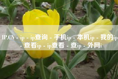 IP.CN - ip - ip查询 - 手机ip - 本机ip - 我的ip - 查看ip - ip查看 - 查ip - 外网i