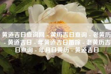 黄道吉日查询网 - 黄历吉日查询 - 老黄历 - 黄道吉日 - 年黄道吉日婚嫁 - 老黄历吉日查询 - 年月日黄历 - 黄道吉日