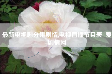 最新电视剧分集剧情,电视直播节目表_爱剧情网