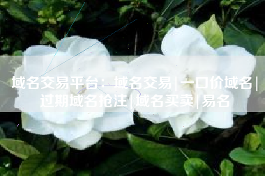 域名交易平台：域名交易|一口价域名|过期域名抢注|域名买卖|易名