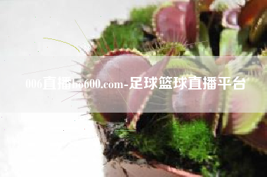 006直播bo600.com-足球篮球直播平台