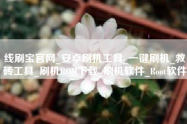 线刷宝官网_安卓刷机工具_一键刷机_救砖工具_刷机ROM下载_刷机软件_Root软件