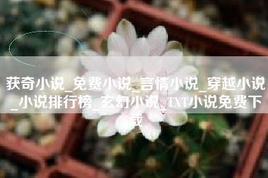 获奇小说_免费小说_言情小说_穿越小说_小说排行榜_玄幻小说_TXT小说免费下载
