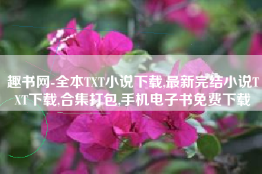 趣书网-全本TXT小说下载,最新完结小说TXT下载,合集打包,手机电子书免费下载