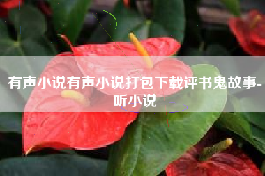 有声小说有声小说打包下载评书鬼故事-听小说