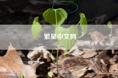 繁星中文网