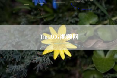 TinaACG视频网