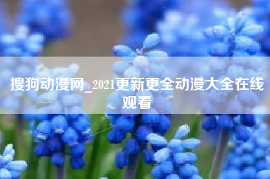 搜狗动漫网_2021更新更全动漫大全在线观看