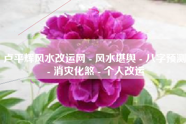 卢平辉风水改运网 - 风水堪舆 - 八字预测 - 消灾化煞 - 个人改运