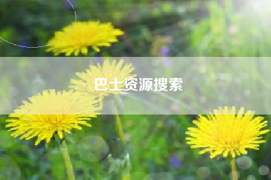 巴士资源搜索