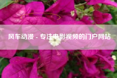 风车动漫 - 专注电影视频的门户网站