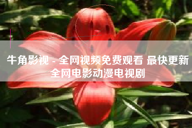 牛角影视 - 全网视频免费观看 最快更新全网电影动漫电视剧