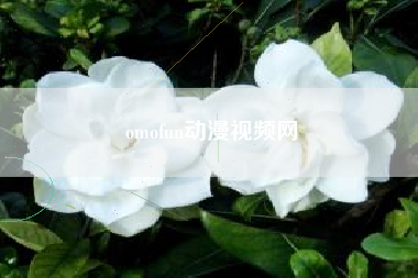 omofun动漫视频网