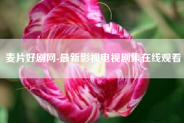 麦片好剧网-最新影视电视剧集在线观看