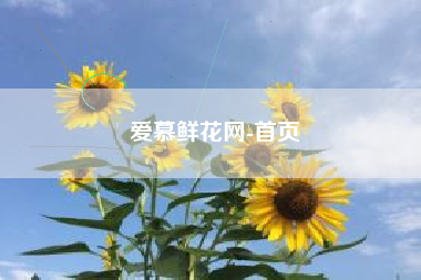 爱慕鲜花网-首页