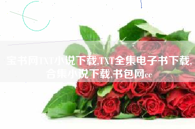 宝书网TXT小说下载,TXT全集电子书下载,合集小说下载,书包网cc