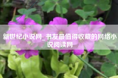 新世纪小说网_书友最值得收藏的网络小说阅读网