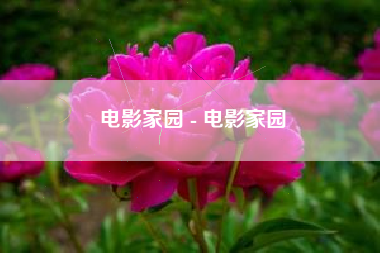 电影家园 - 电影家园