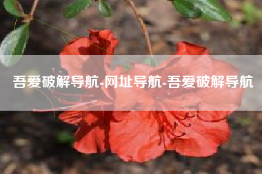 吾爱破解导航-网址导航-吾爱破解导航