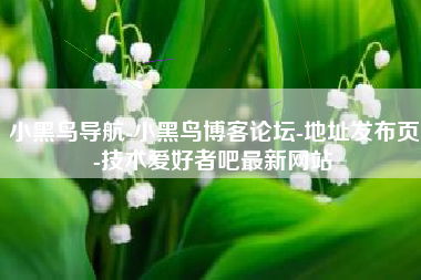 小黑鸟导航-小黑鸟博客论坛-地址发布页-技术爱好者吧最新网站