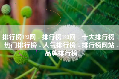 排行榜123网 - 排行榜123网 - 十大排行榜 - 热门排行榜 - 人气排行榜 - 排行榜网站 - 品牌排行榜