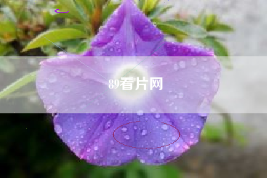 89看片网