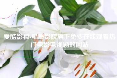 爱酷影视-星辰影院旗下免费在线观看热门电影电视剧的网站