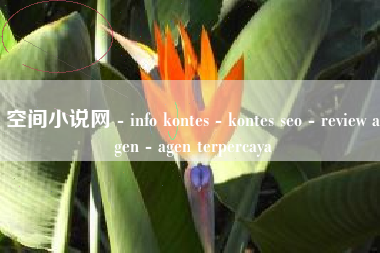 空间小说网 - info kontes - kontes seo - review agen - agen terpercaya