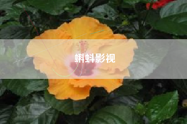 蝌蚪影视