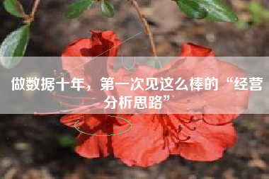 做数据十年，第一次见这么棒的“经营分析思路”