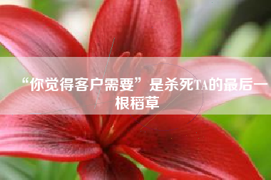 “你觉得客户需要”是杀死TA的最后一根稻草