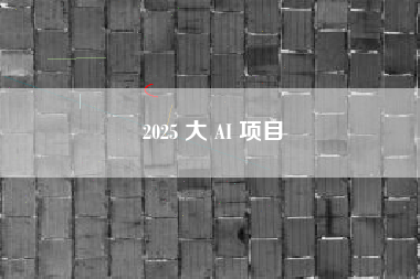 2025 大 AI 项目