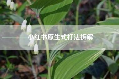 小红书原生式打法拆解