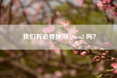 我们有必要使用 Qwen3 吗？