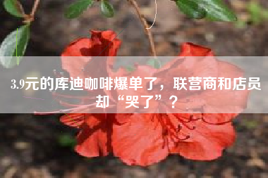 3.9元的库迪咖啡爆单了，联营商和店员却“哭了”？