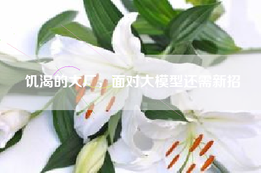 饥渴的大厂，面对大模型还需新招