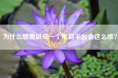 为什么想要做成一个电商平台会这么难？