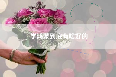 学鸿蒙到底有啥好的
