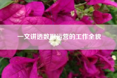 一文讲透数据运营的工作全貌